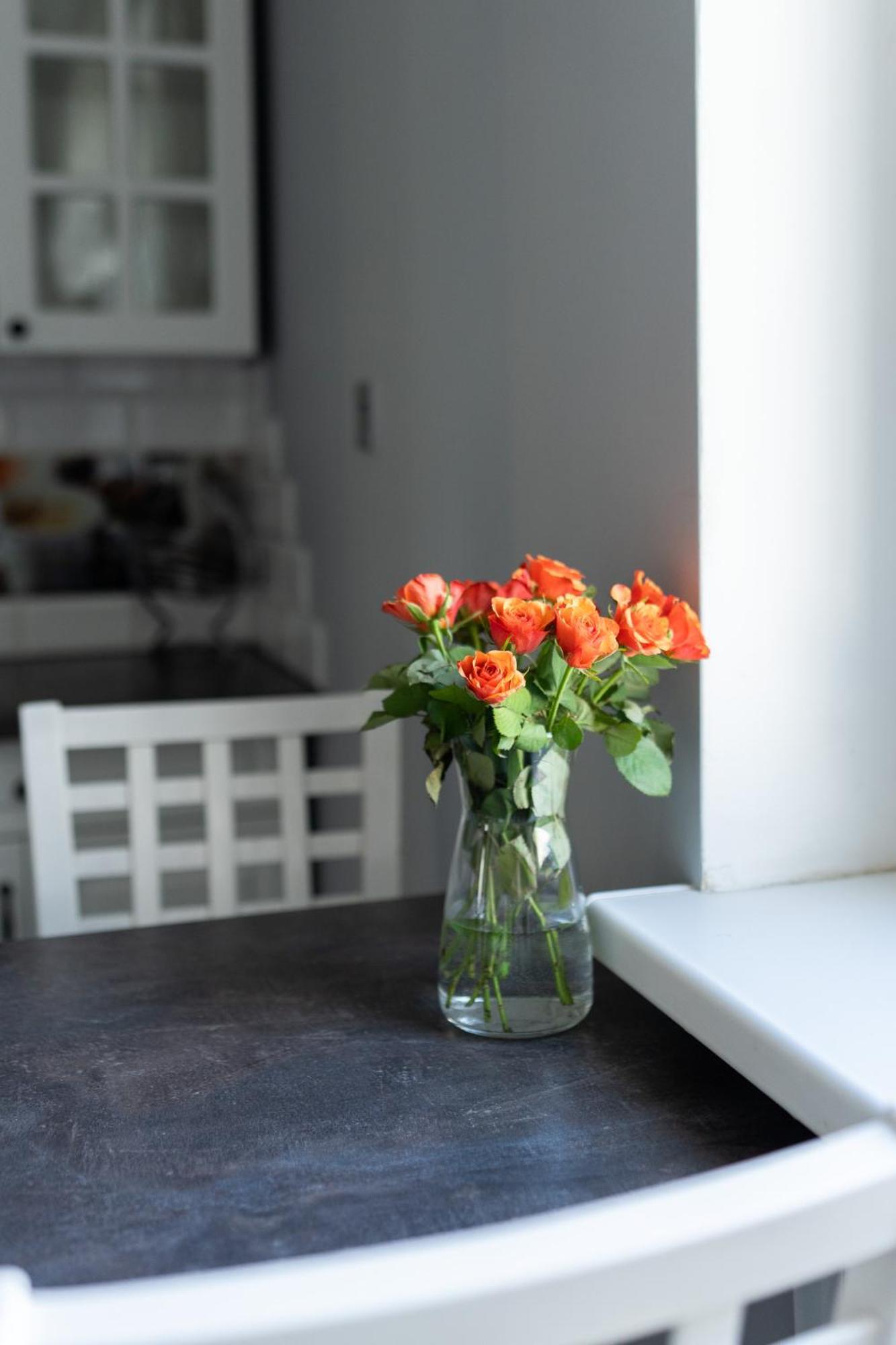 Apartament Na Polnej Chełmno Exteriör bild